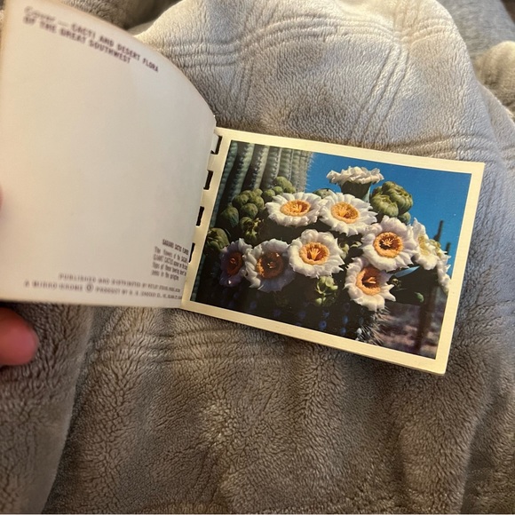 Vintage Small Photo Books - Picture 3 of 8